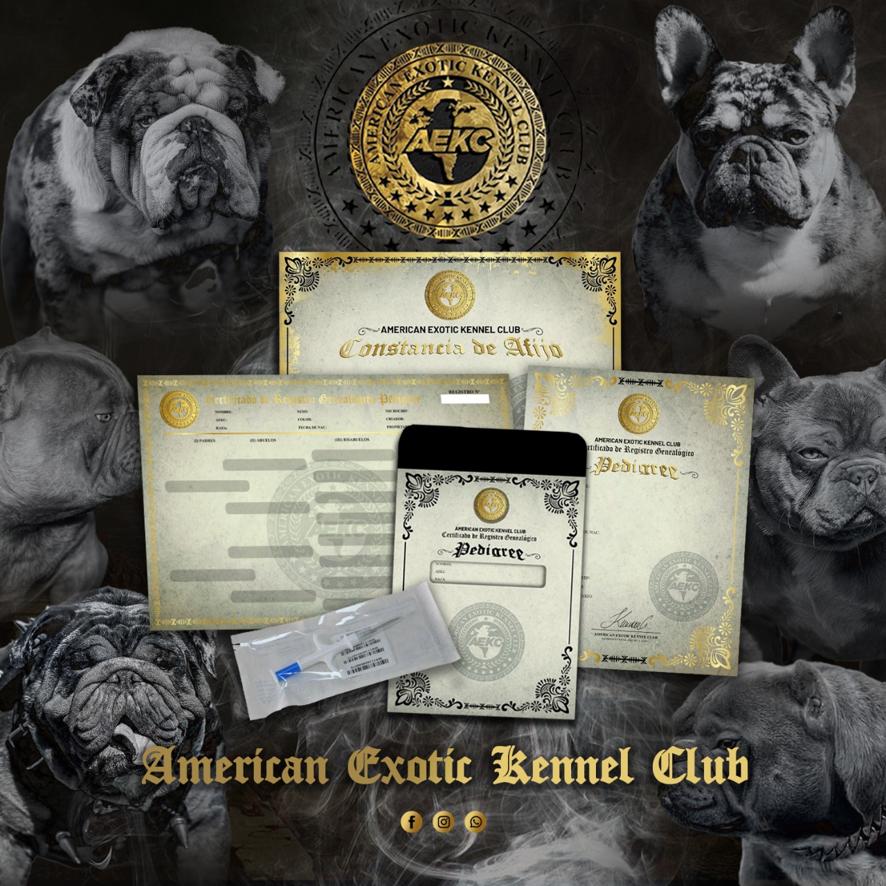 TRAMITES AEKC American Exotic Kennel Club AEKC