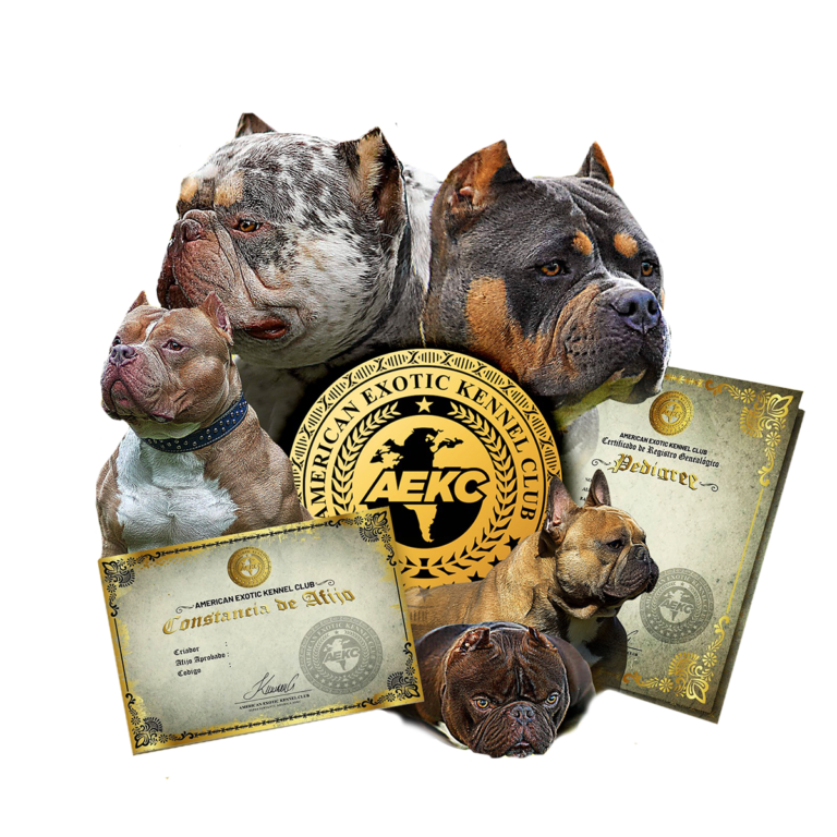 American Exotic Kennel Club AEKC Registro canino internacional para