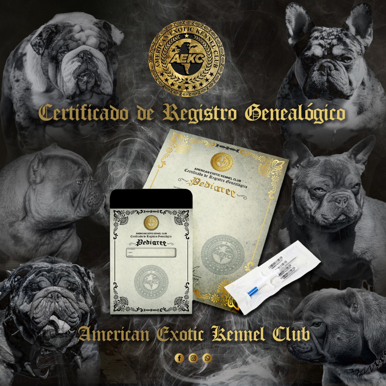 TRAMITES AEKC American Exotic Kennel Club AEKC